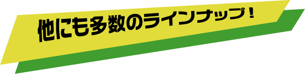 他にも多数のラインナップ！